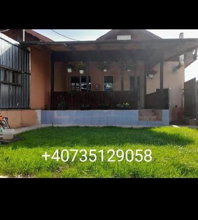 Central City House تولتشيا المظهر الخارجي الصورة