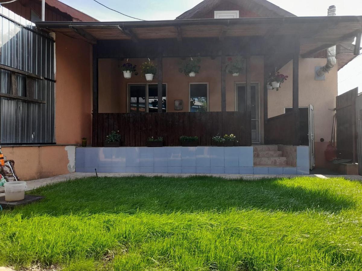 Central City House تولتشيا المظهر الخارجي الصورة