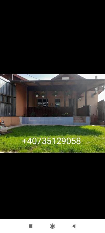 Central City House تولتشيا المظهر الخارجي الصورة